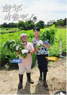 低地影像叙事公开课讲义配图